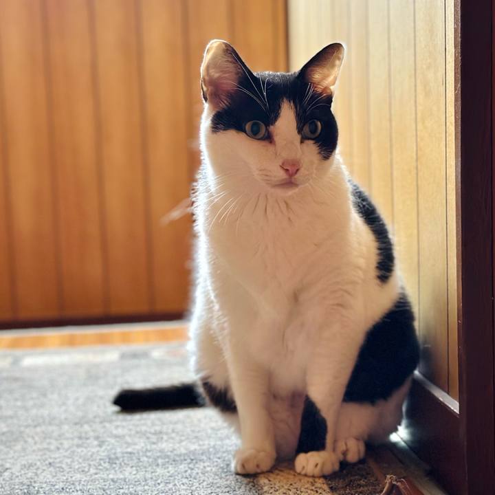 2f0b6104 088a 4461 8d11 4003c47750c8 1697159749015