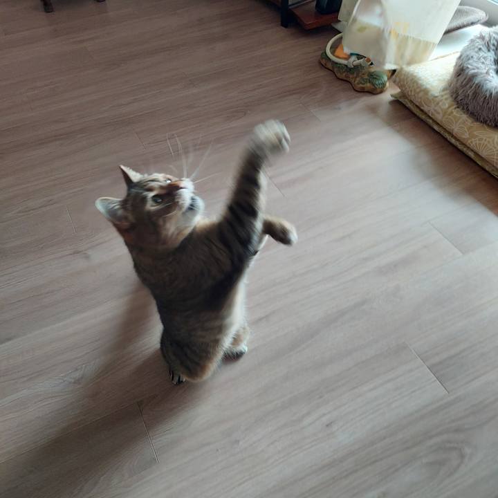 2f0b64a2 04da 4d6e b937 923e1fe5021e 1744426483315