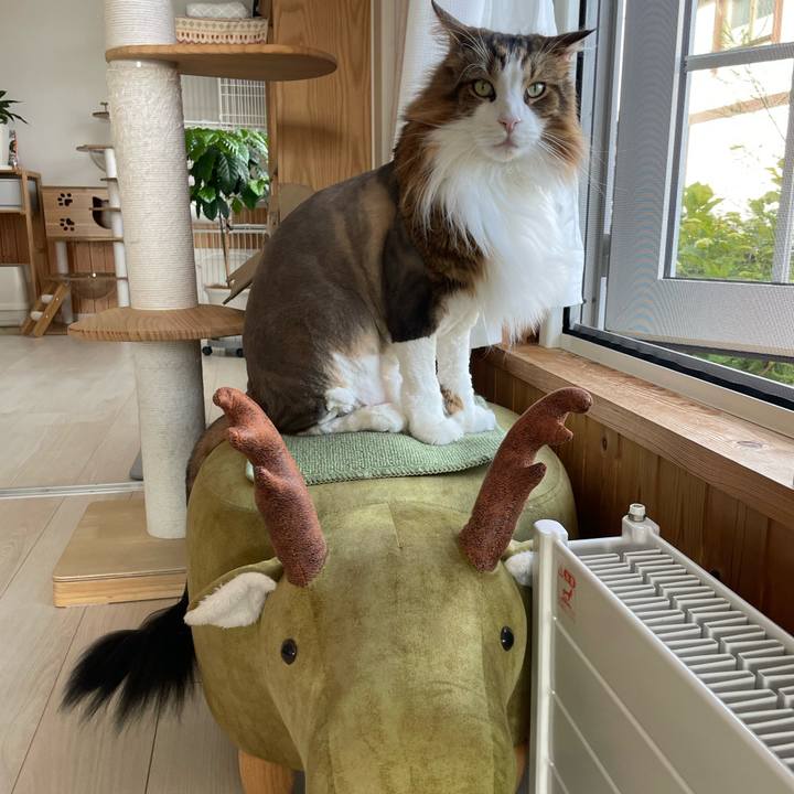 2f0b9f79 85a1 41c0 9844 b39b5b02dc7e 1751020567000