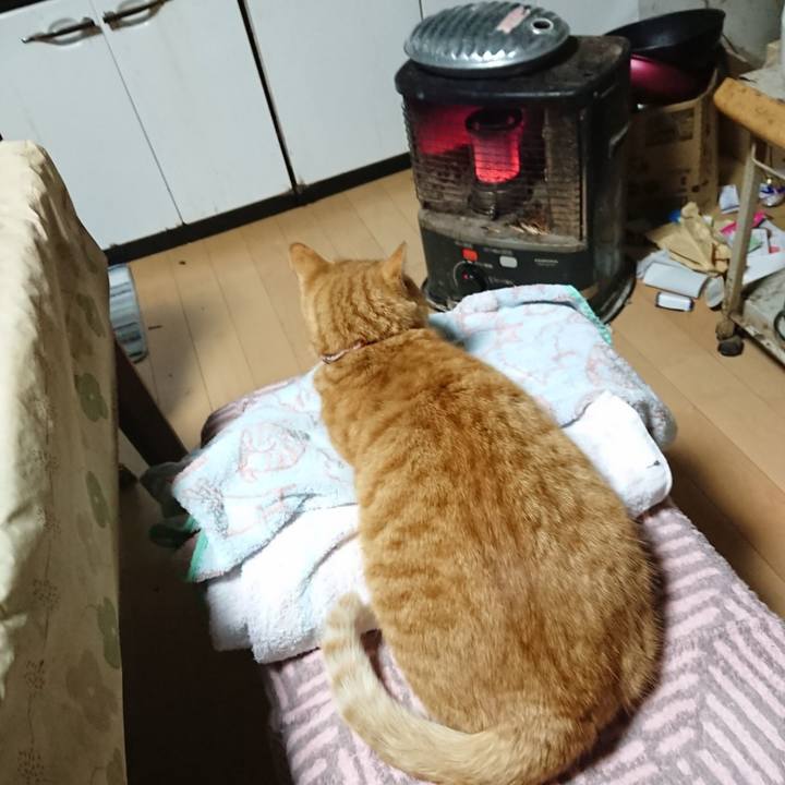 2f0bc4df d66b 4bcc 8642 6e4f56c4450d 1606506515994