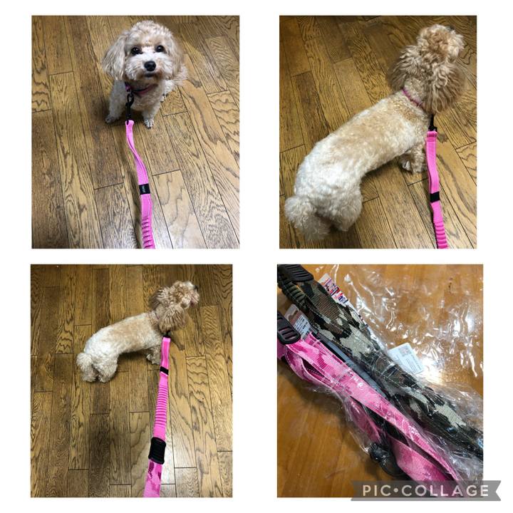 2f0bd61e f223 430d 8cac a415b01ff0be 1627734188659