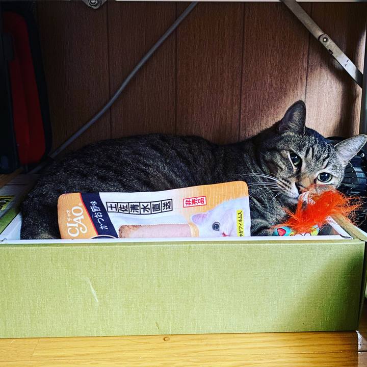 2f0be948 86c1 4eb1 bee4 e84b55d2b01b 1588610193916