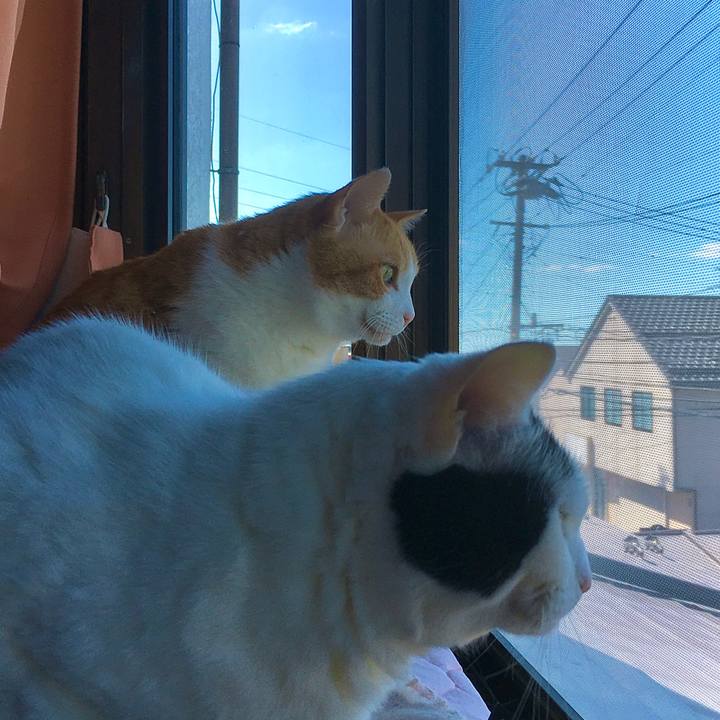 2f0c1026 23b1 42ab a77c 6e668a242528 1633317666555