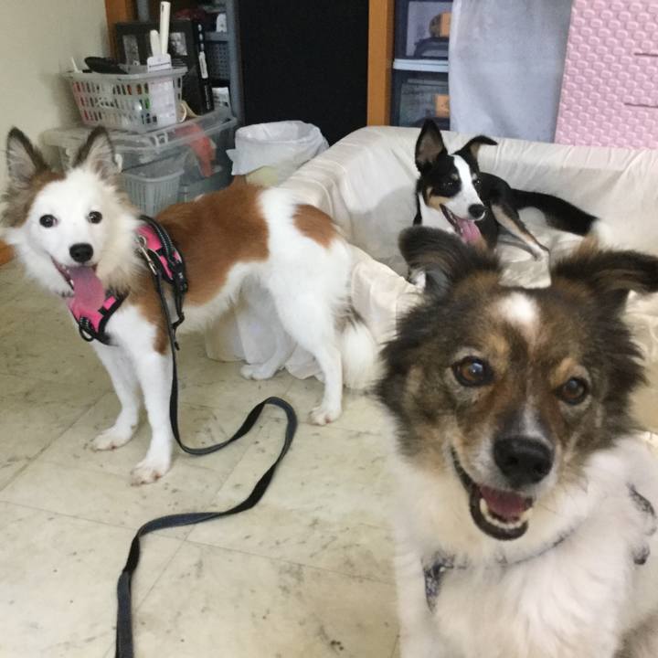 2f0c19f4 f18d 4f21 ac5d b64df7100c7b 1568026479869