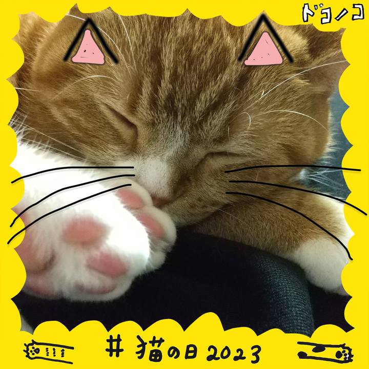 2f0c579f c71e 46dd bc38 c2b5febc18be 1677069134096