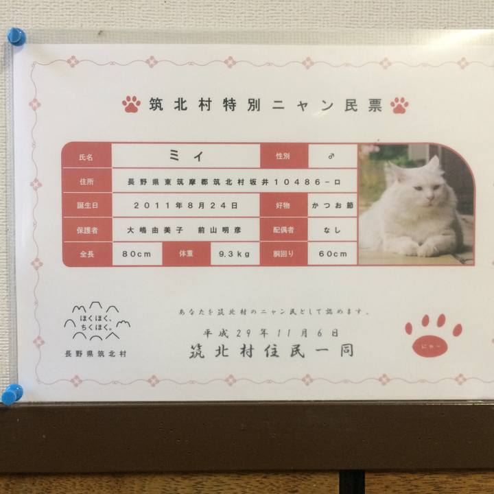 2f0ccf51 13ce 4320 8a92 d4eaf444ac8c 1511821699665