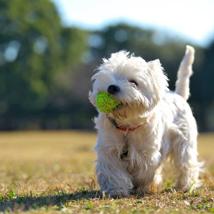 2f0ce145 b1f1 4a8f b798 161c7a13cdc7 1512307125286