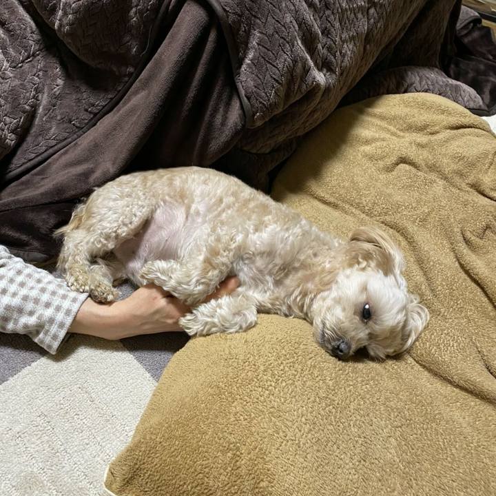 2f0d0a6e f797 4015 816b ab034d481984 1609687956429