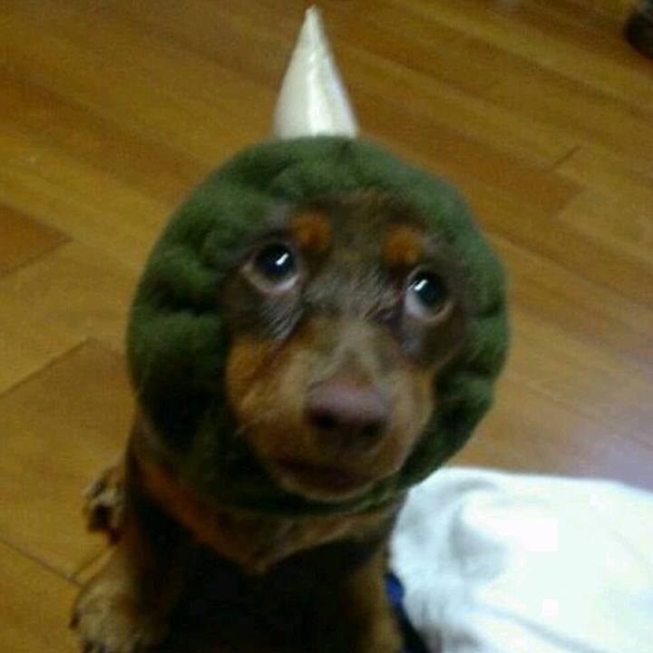 2f0d4324 f68b 4f9a 8212 10506ab6ee9d 1549146666950