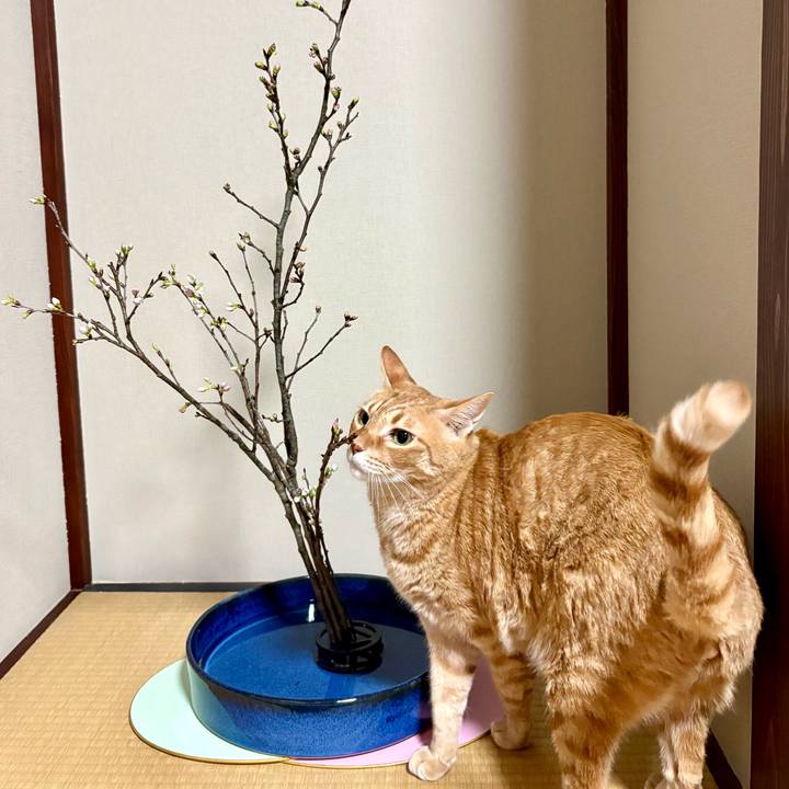 2f0da718 bd79 42e0 96c7 11aa6bbd8589 1770850840196