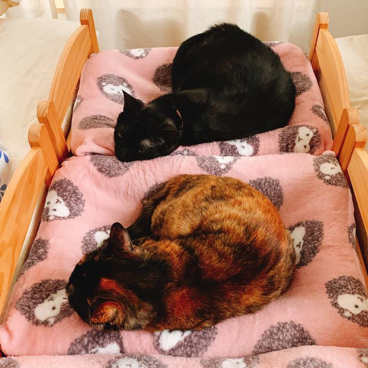 2f0db7d8 4dc0 401e 96b0 77ccbba271ef 1557193538568