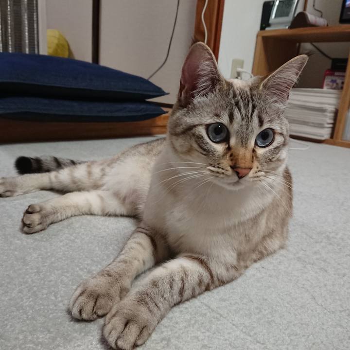 2f0de72f a03c 4840 9b79 61280bb5ace2 1521370942370