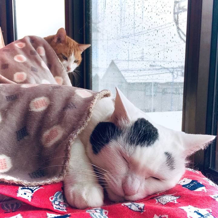 2f0e0b05 bcf7 419a b01a e5fe2097a8e7 1608524893321