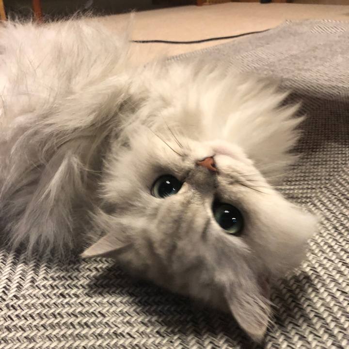 2f0e14cf 8b7e 42b6 a986 676a1fdb96cd 1556324453496