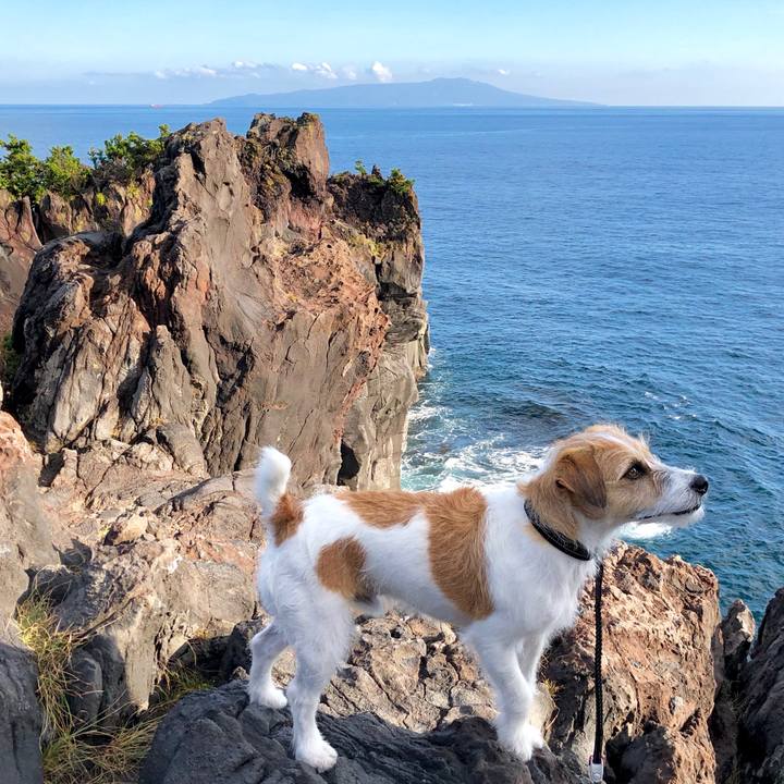 2f0ed529 2724 488b 98b8 aa45917de99e 1572438945116