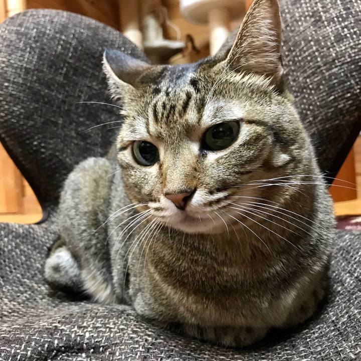 2f0f0b60 dc6e 48c0 a60a 1cbf5e253616 1542116742125