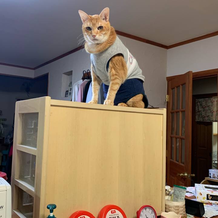 2f0f1156 7184 4173 b19a b08bfa79ed19 1610596426963