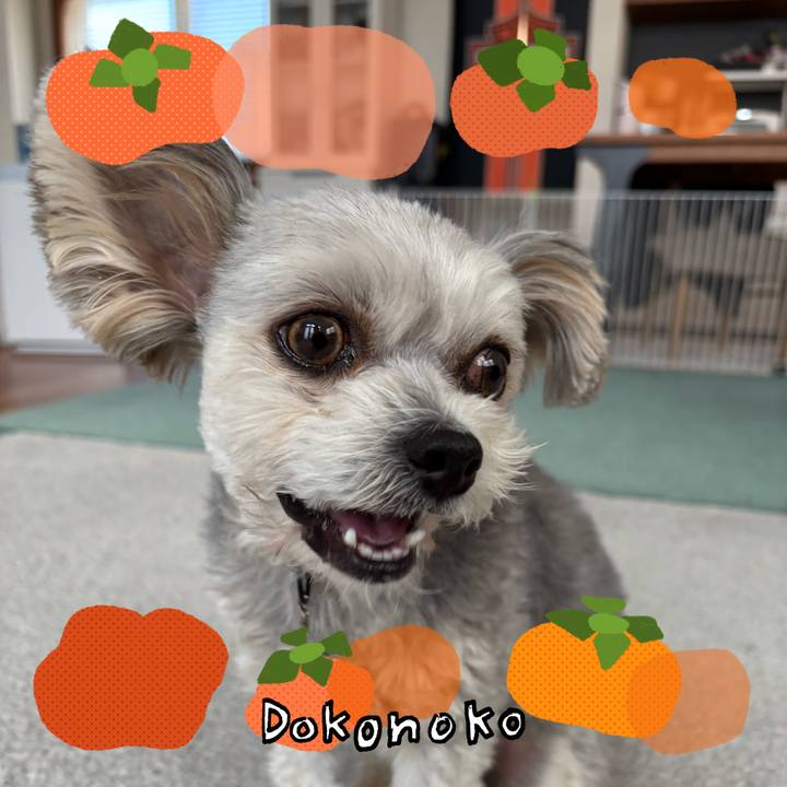 2f0f1510 ddad 4d4b 9f69 2233fe6f5037 1761178767868