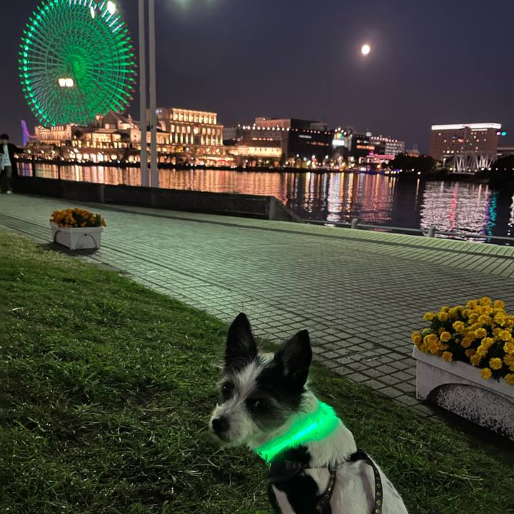 2f0f174d 9838 498c afb2 579ff753b8c1 1698499414509