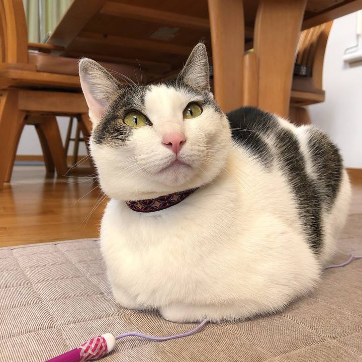 2f0f4ff1 94af 467c bacf 4ed94a42731e 1641974132180