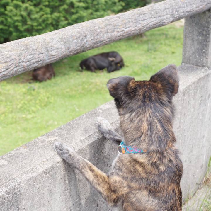 2f0f76da 46ec 4734 a7ea 7f1800a84f92 1561511146918