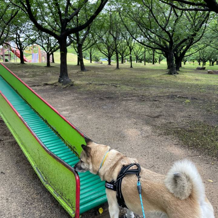 2f0f8b5f be3d 4c25 a192 f8a63a014d07 1717922728946