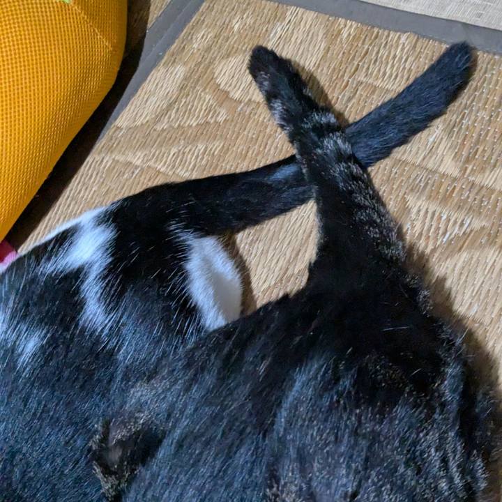 2f0f9e17 ac16 43bb b1ff 546c766d01a4 1756567255550