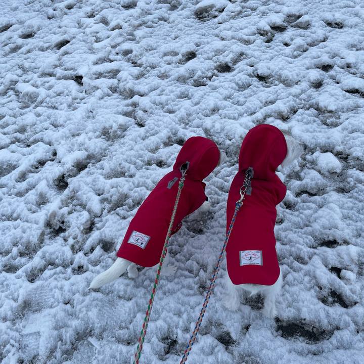 2f0fa74b a896 4202 b838 9c40f78ffa10 1674951634091