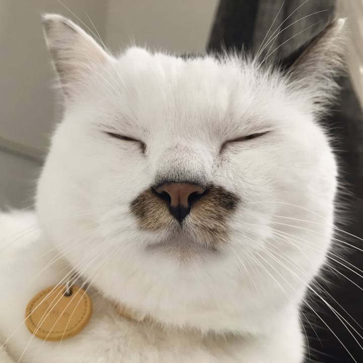 2f0fb638 eed2 4215 a50a 9ba61ec144fd 1567314154164