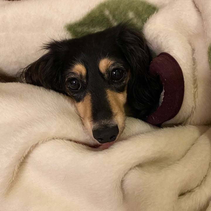 2f0fbfdc 5406 4822 97ae 5c8103254552 1733483430952