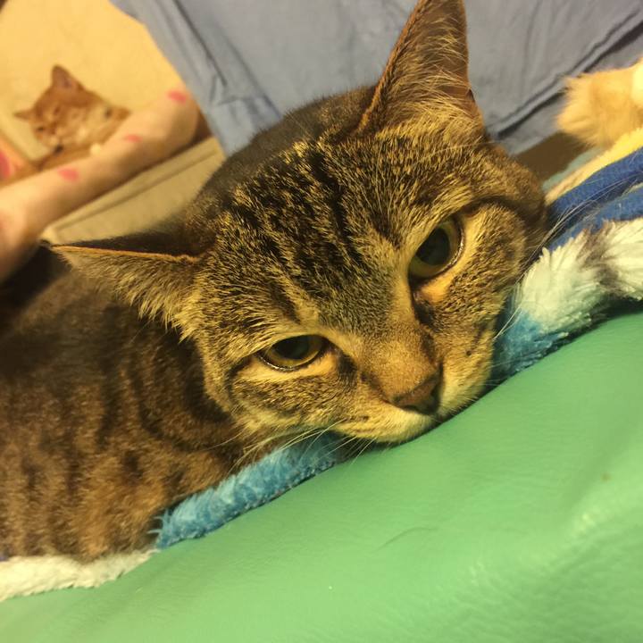 2f0fd961 74ce 4ff1 a85a 8a5e163bfb30 1562679552457