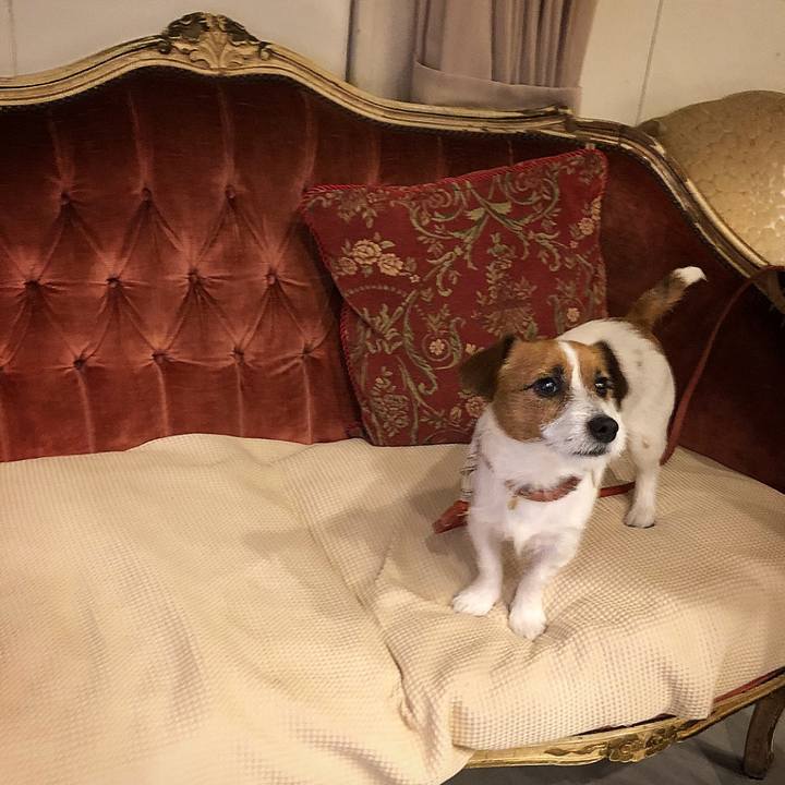 2f0fdb2e b7c3 4443 8580 665dc6fcec45 1512043621505