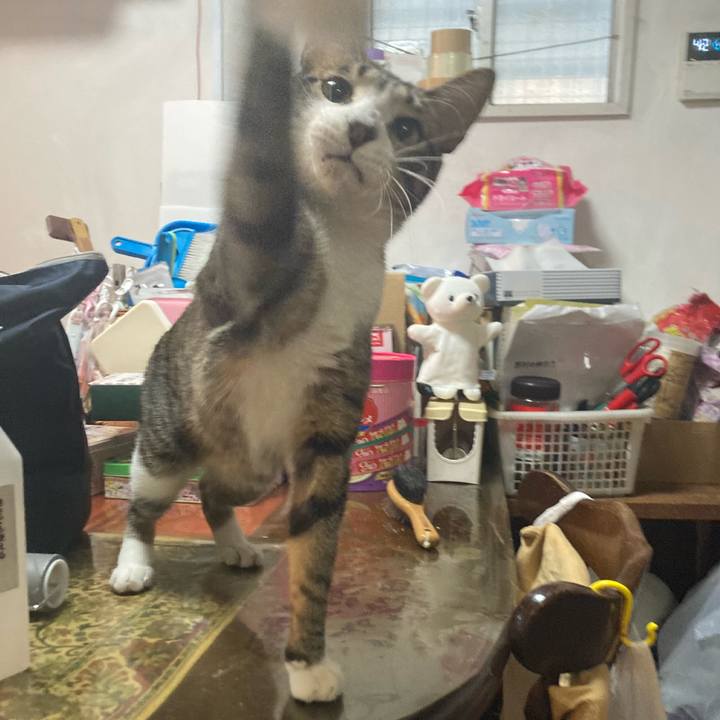 2f0feb9c 283b 4ec4 93aa f0bdbe085559 1739662806550