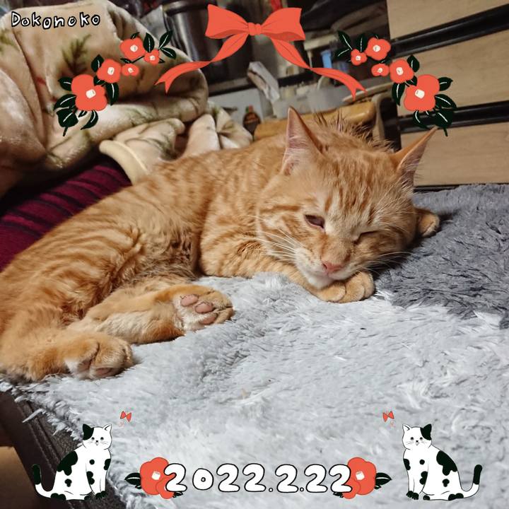 2f0fef01 e67d 472c a0f7 026207f770ee 1645527389093