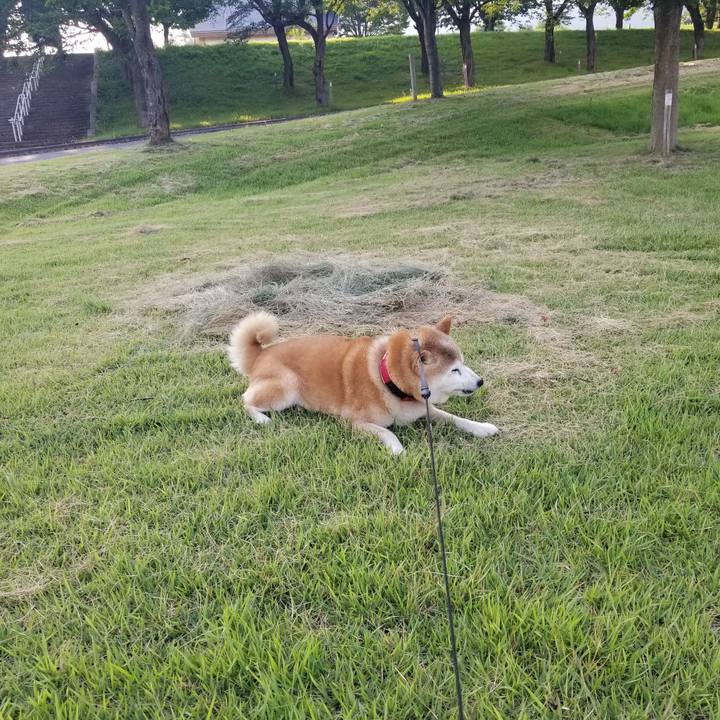 2f0ffd08 8da2 43f9 b775 5d6a9f903316 1722846736787