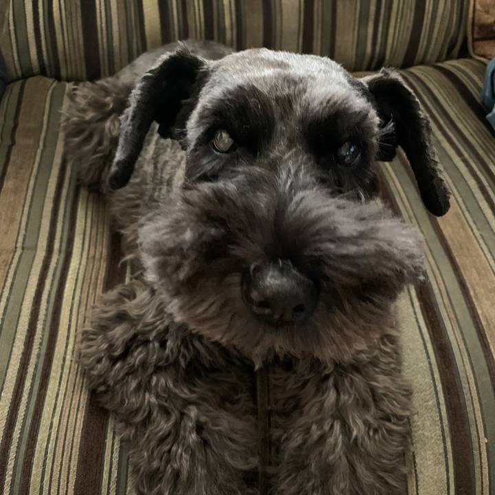 2f100beb 609a 48f4 82d0 a535625a4ecc 1634521500349