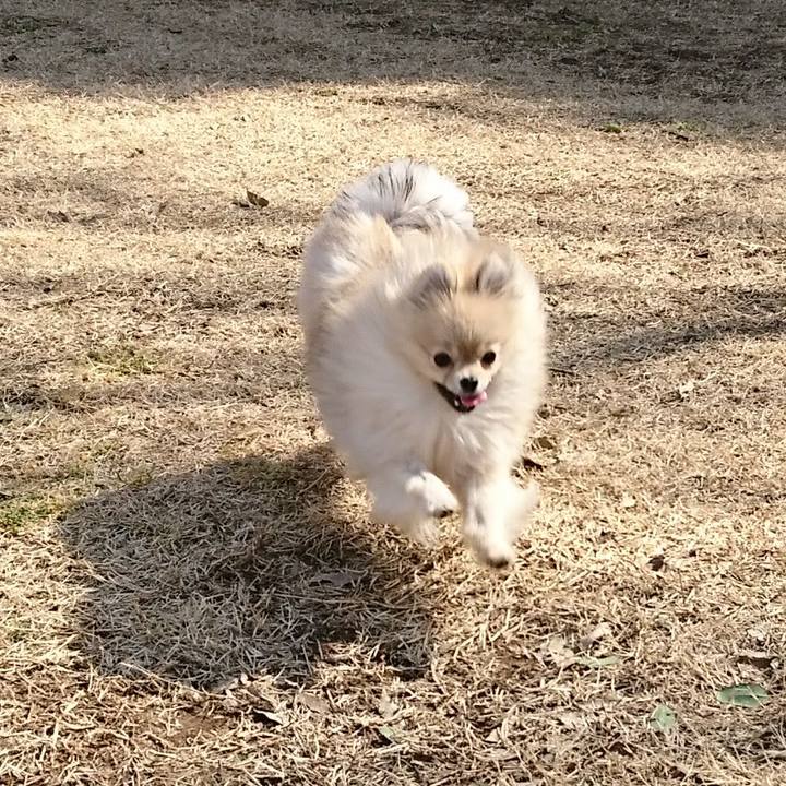 2f10348e d3e6 49d5 bc10 1ac076427640 1520204533274