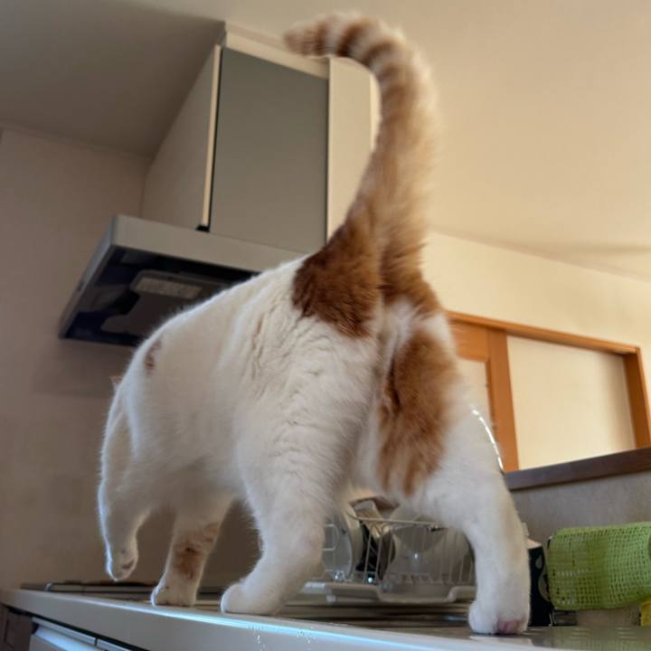 2f104d0f 0df0 49bf 8f7f 7e79b4924f4f 1764299782717