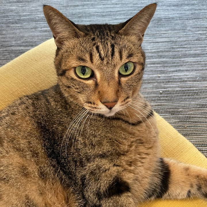 2f105c14 0681 440c 880c beabf9cb9822 1727832789584