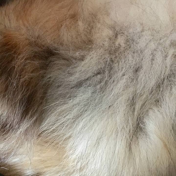 2f108346 a8ff 4257 b5c1 8ce06528a103 1599116279089