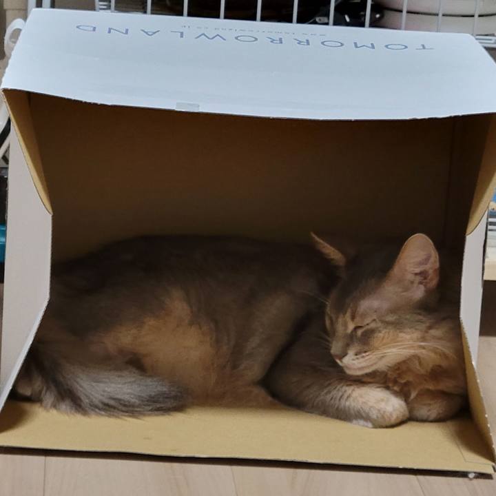 2f109714 73ac 497e 8ebe fc2006f7dba6 1662694556420