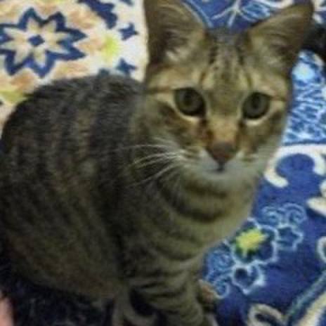 2f109c9e 5fed 4303 9ffb a81412b31ef4 1519220805899