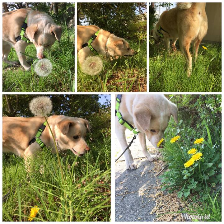 2f10b843 cd88 4977 8b3c 76b1945967fc 1522837438479