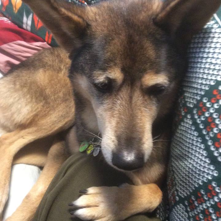 2f10fa6f 6240 4a76 b88c 0bc1e3db60c8 1516168035079