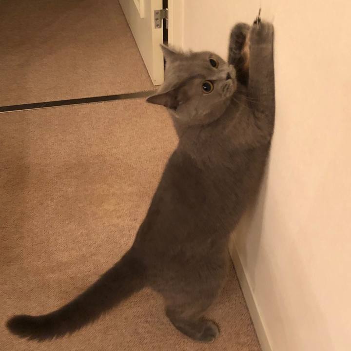 2f11080d a0aa 448f aa57 58bd3b68e0e3 1528719536587