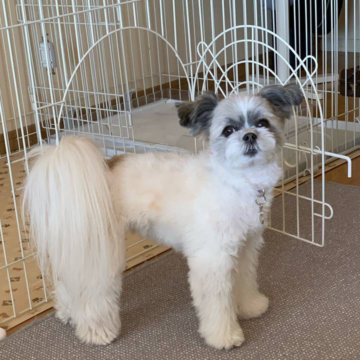 2f110b16 ad41 497b b683 ad47b1cacc5d 1580373022877