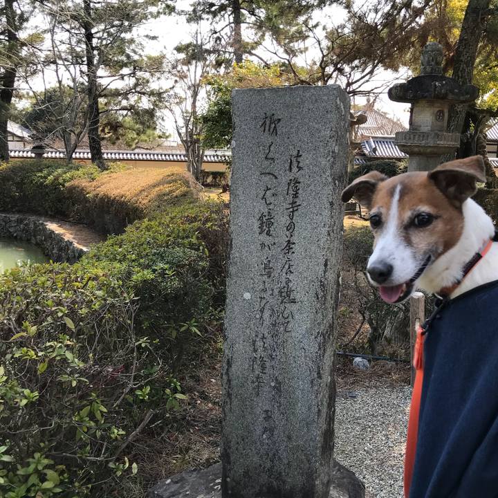 2f112356 2ddb 44a6 b3c2 56c1e55ee058 1520763500366