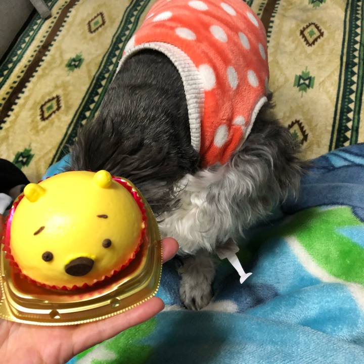 2f1129f9 539b 4d10 bb85 f00a1af8995e 1608561121829