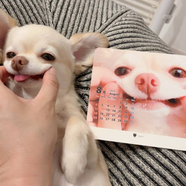 2f115ecb 059a 48c2 8174 0b6898d25be6 1722600996938