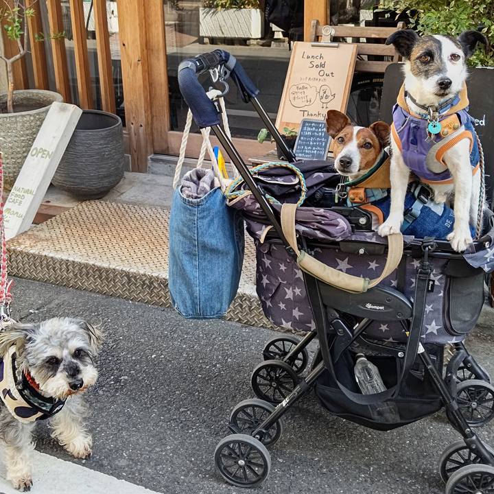 2f116209 4fd5 45fb 9a9b 96bb9d663c06 1707557309344